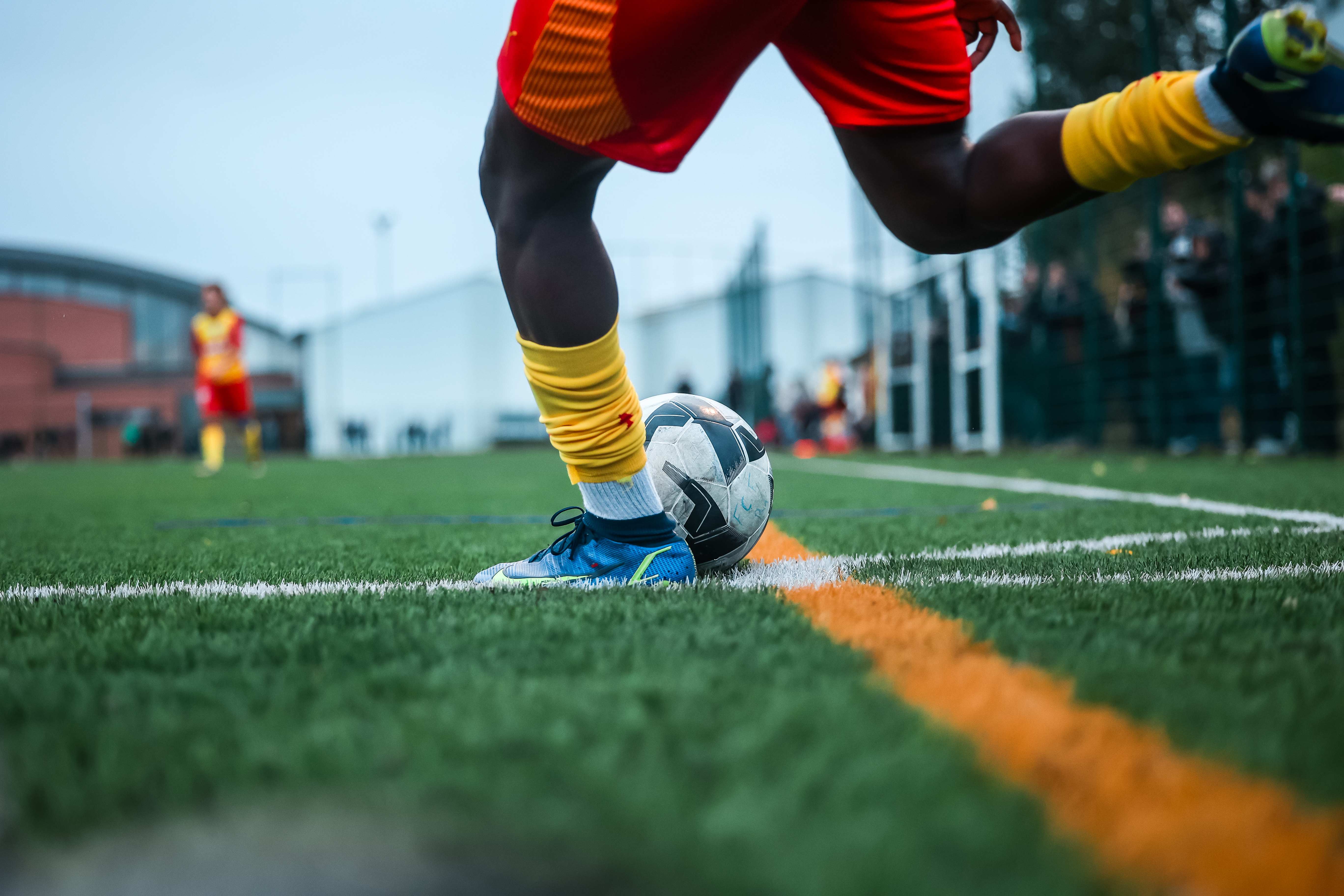 Le programme de l'édition 20242025